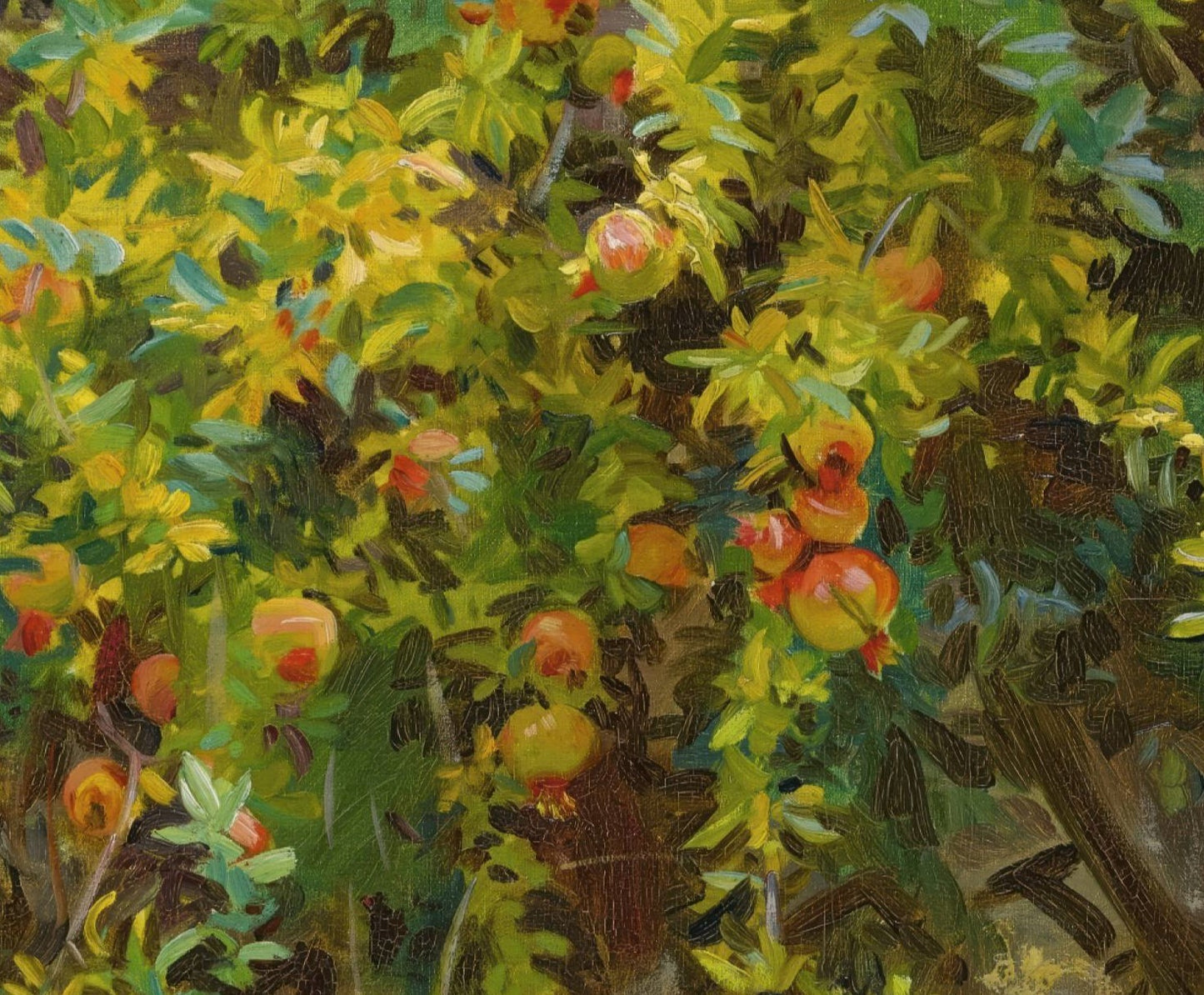 Pomegranates, Majorca