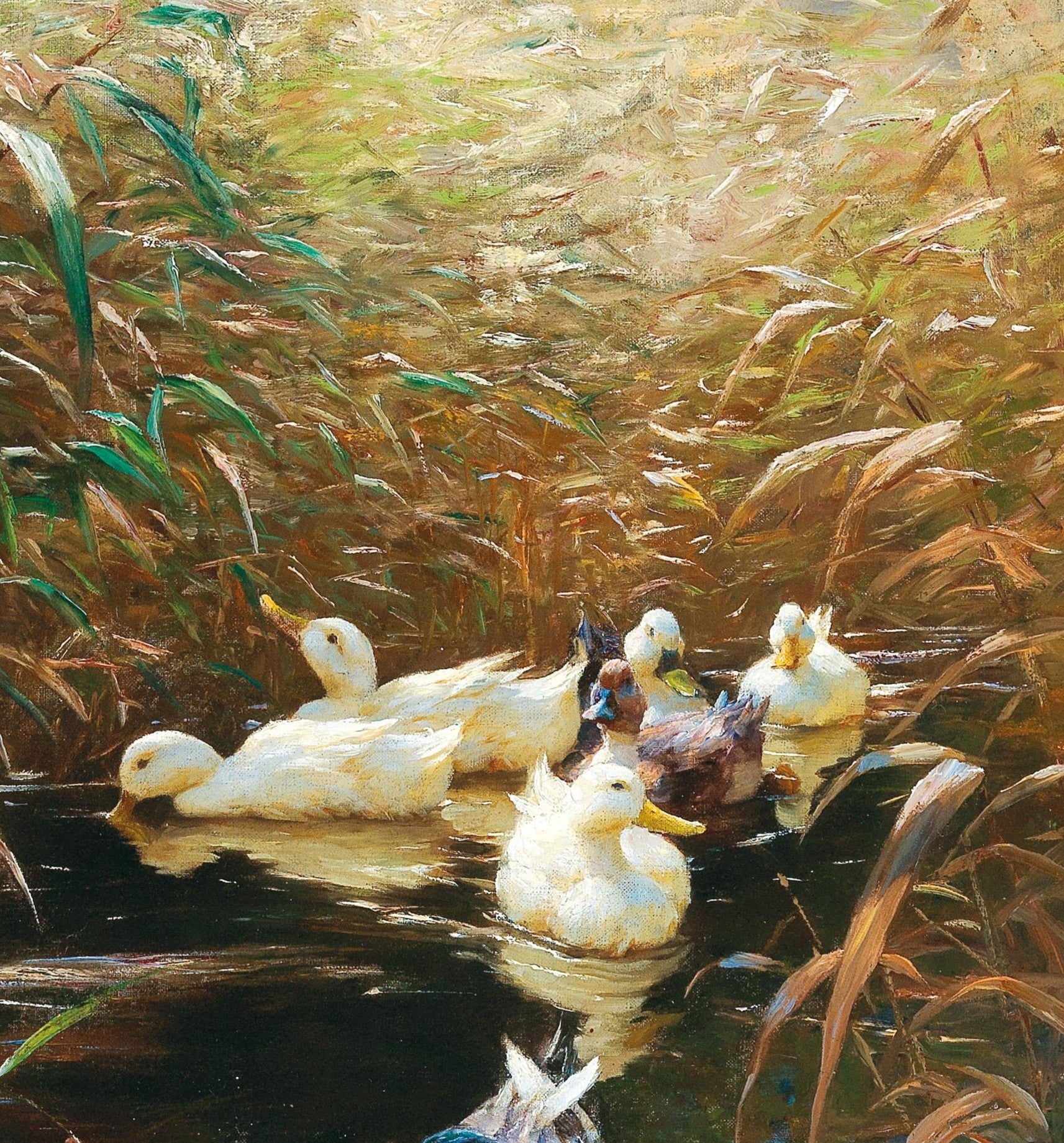 Ducks in Autumn Reeds