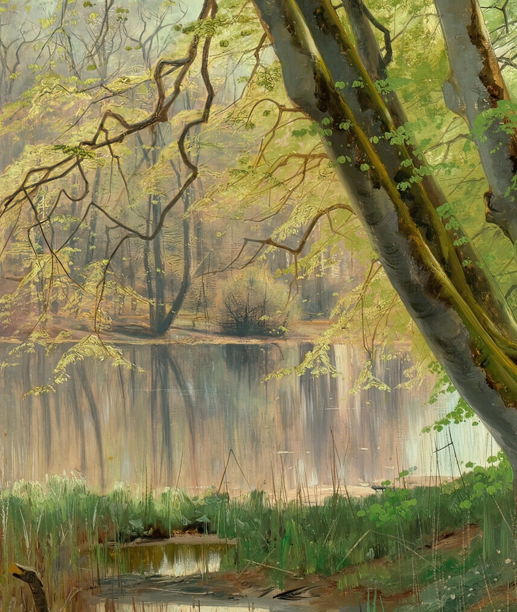 Wooded Path by a River