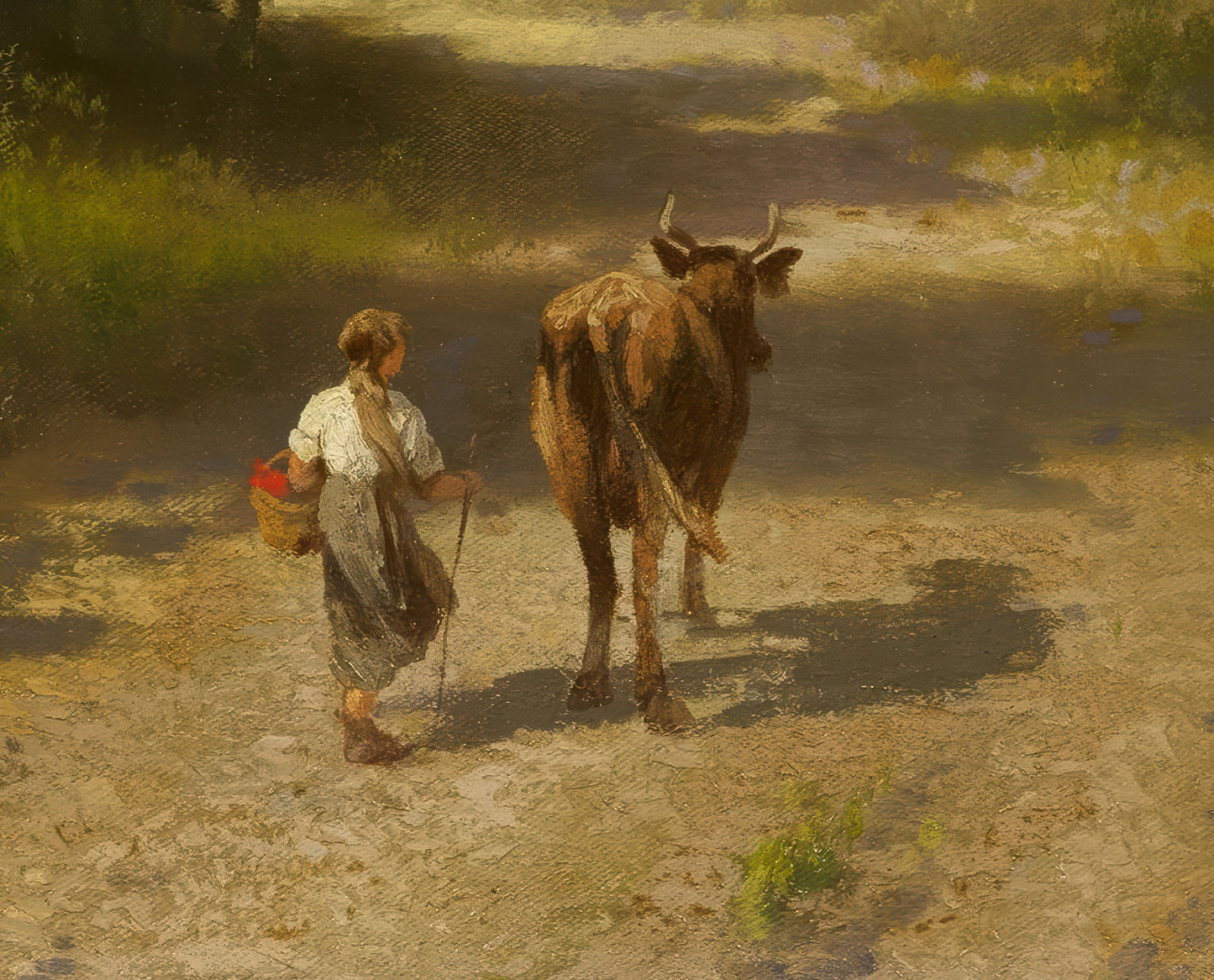 Forest Landscape in Florida