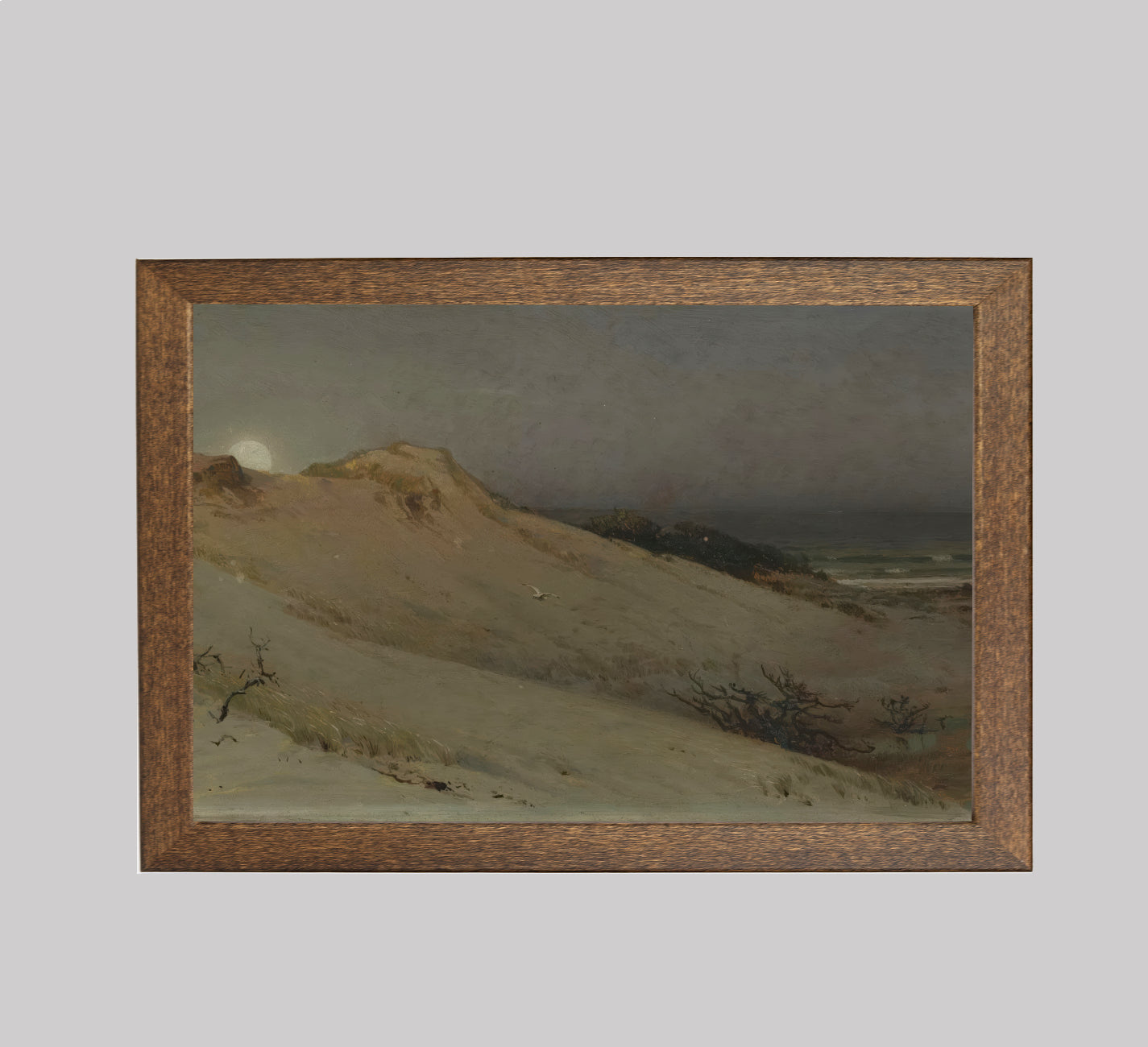 Moonrise over the Dunes