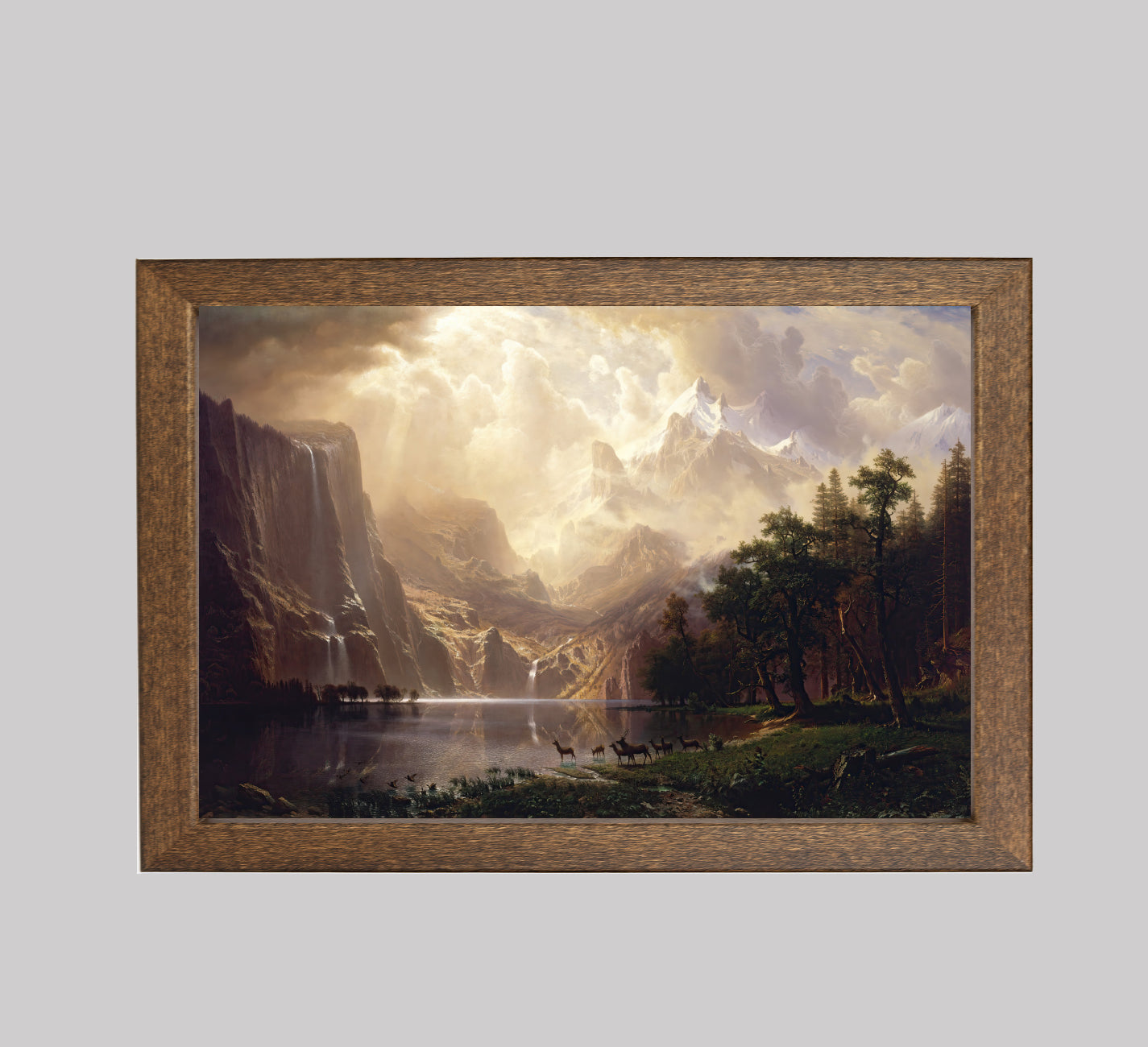 Among the Sierra Nevada