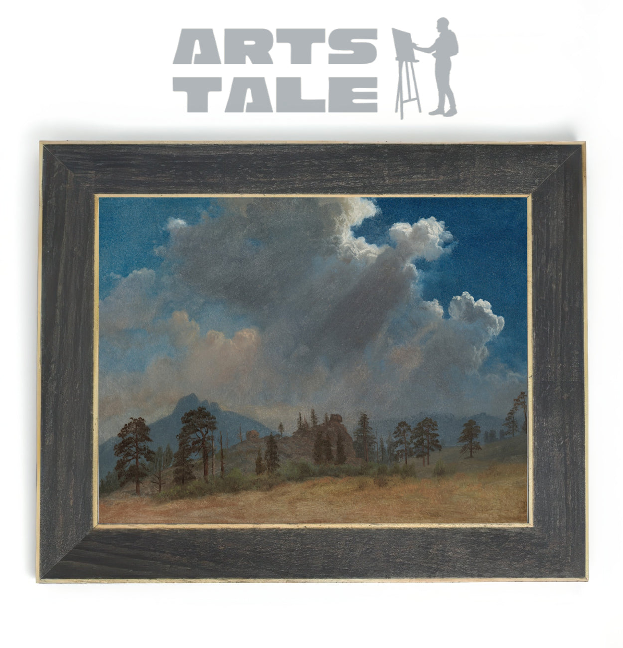 Fir Trees and Storm Clouds