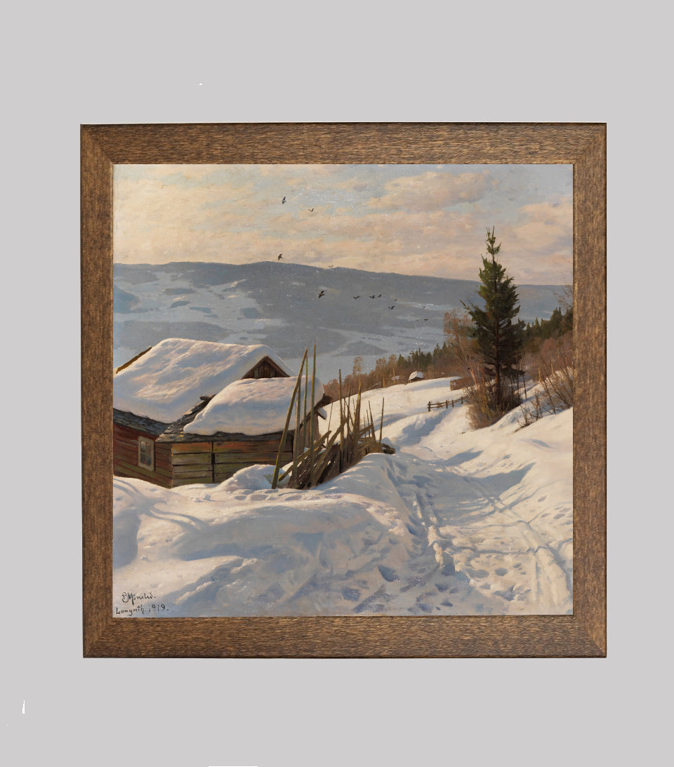 Sunny Winter Day in Norway