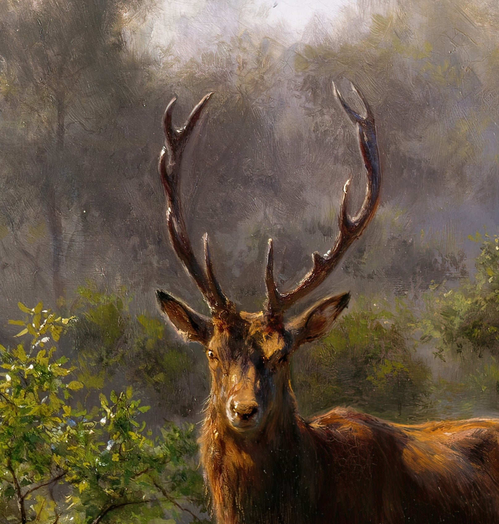 A Stag