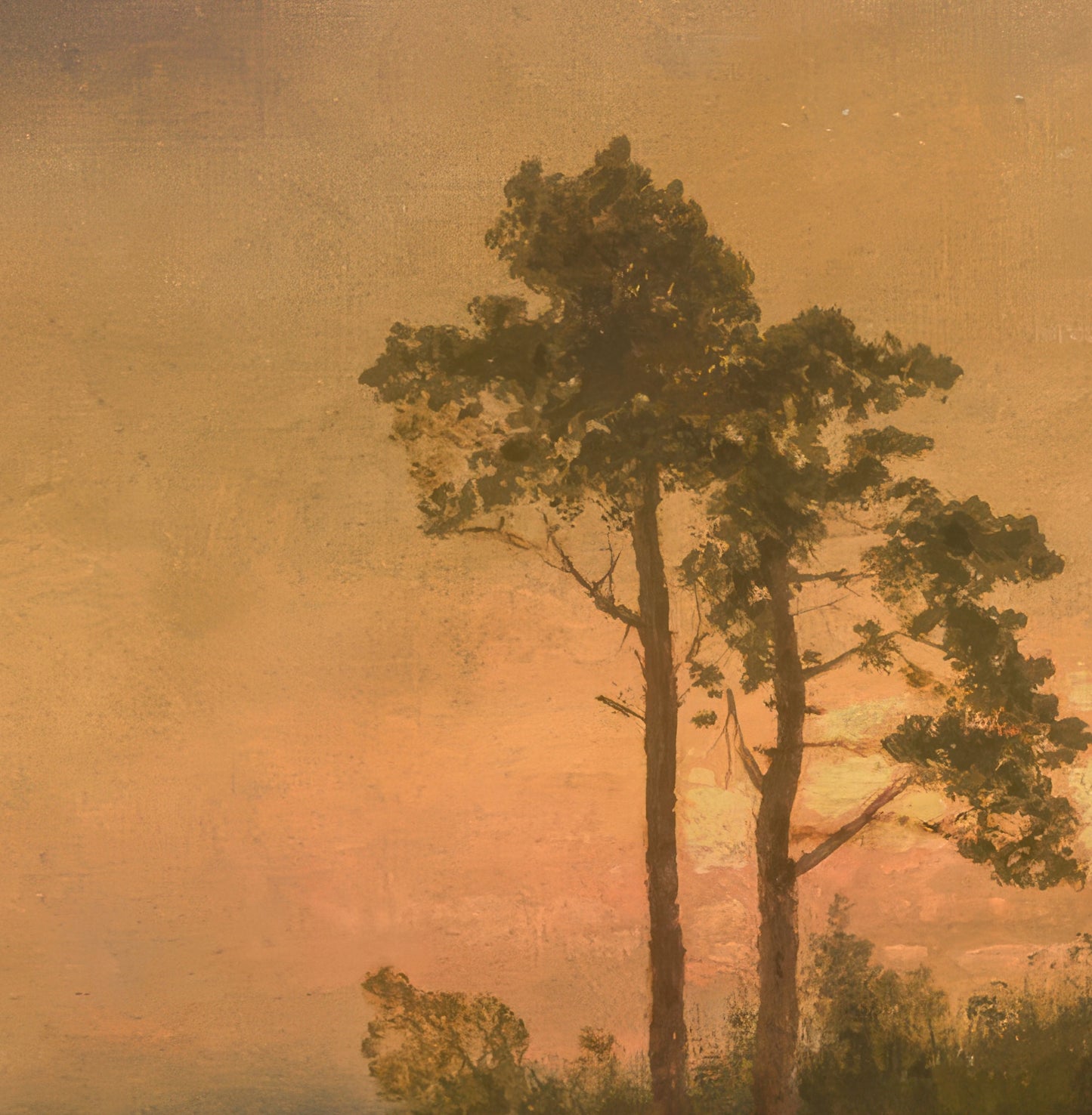 Dutch Landscape with Sheep