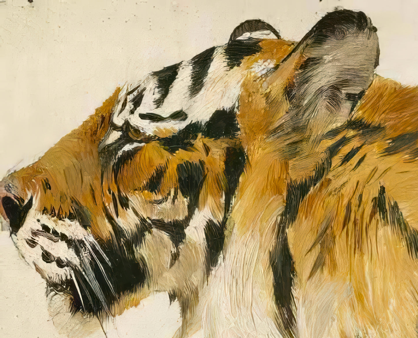 Study of a Tiger
