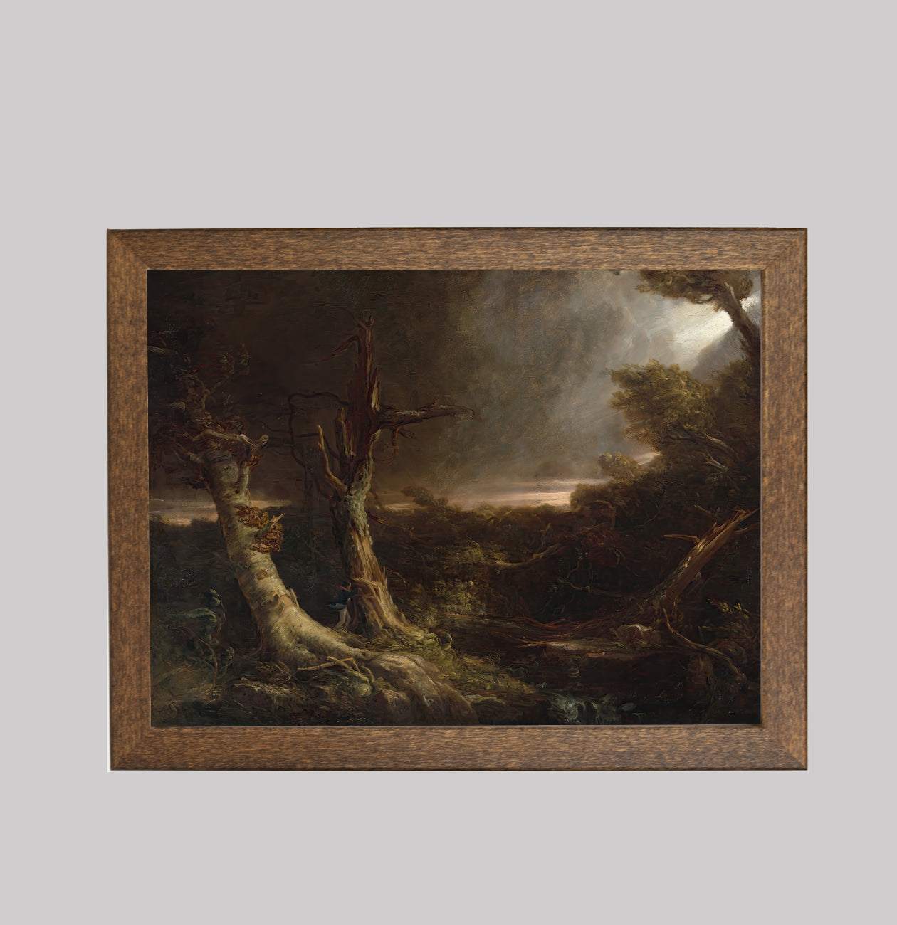 Tornado in an American Forest