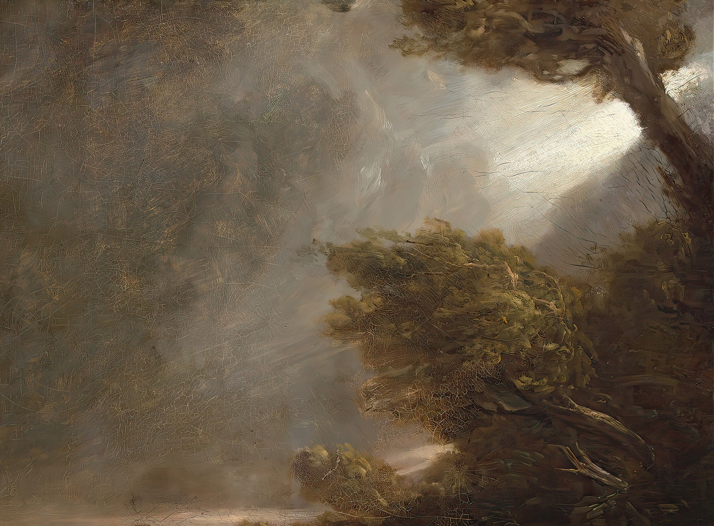 Tornado in an American Forest