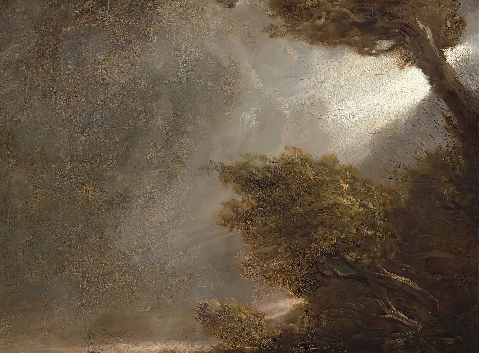 Tornado in an American Forest