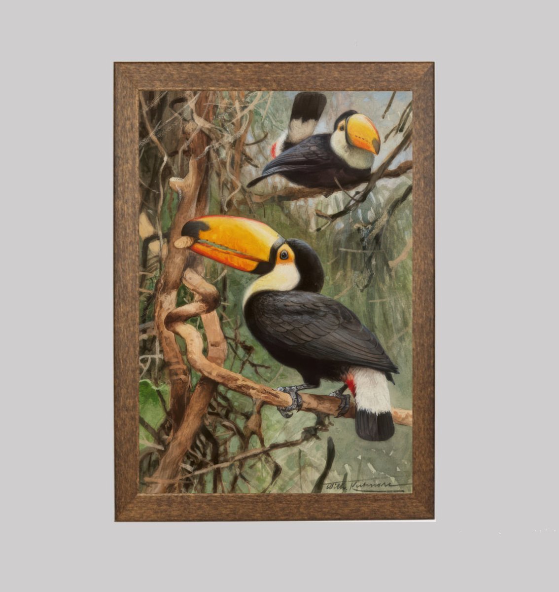 Toucans