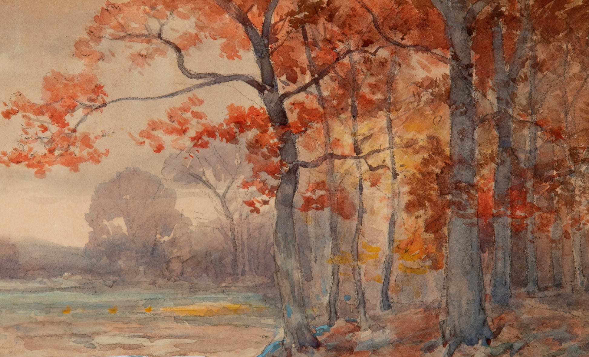 Yellow Flowers on a Grey Day