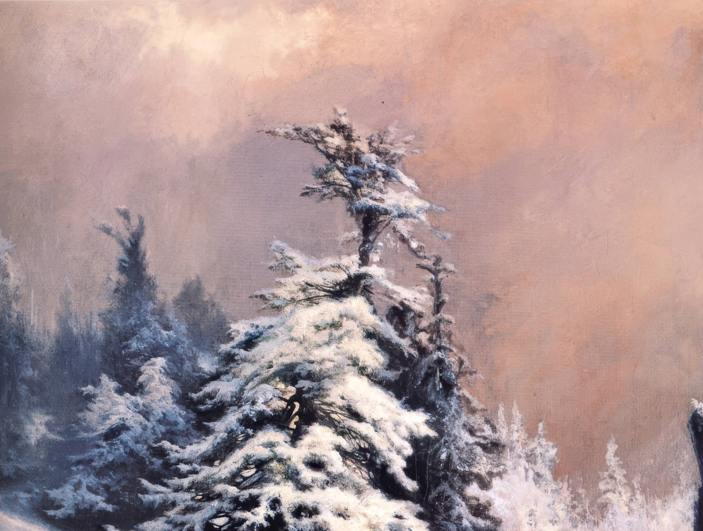 Winter in the Rockies