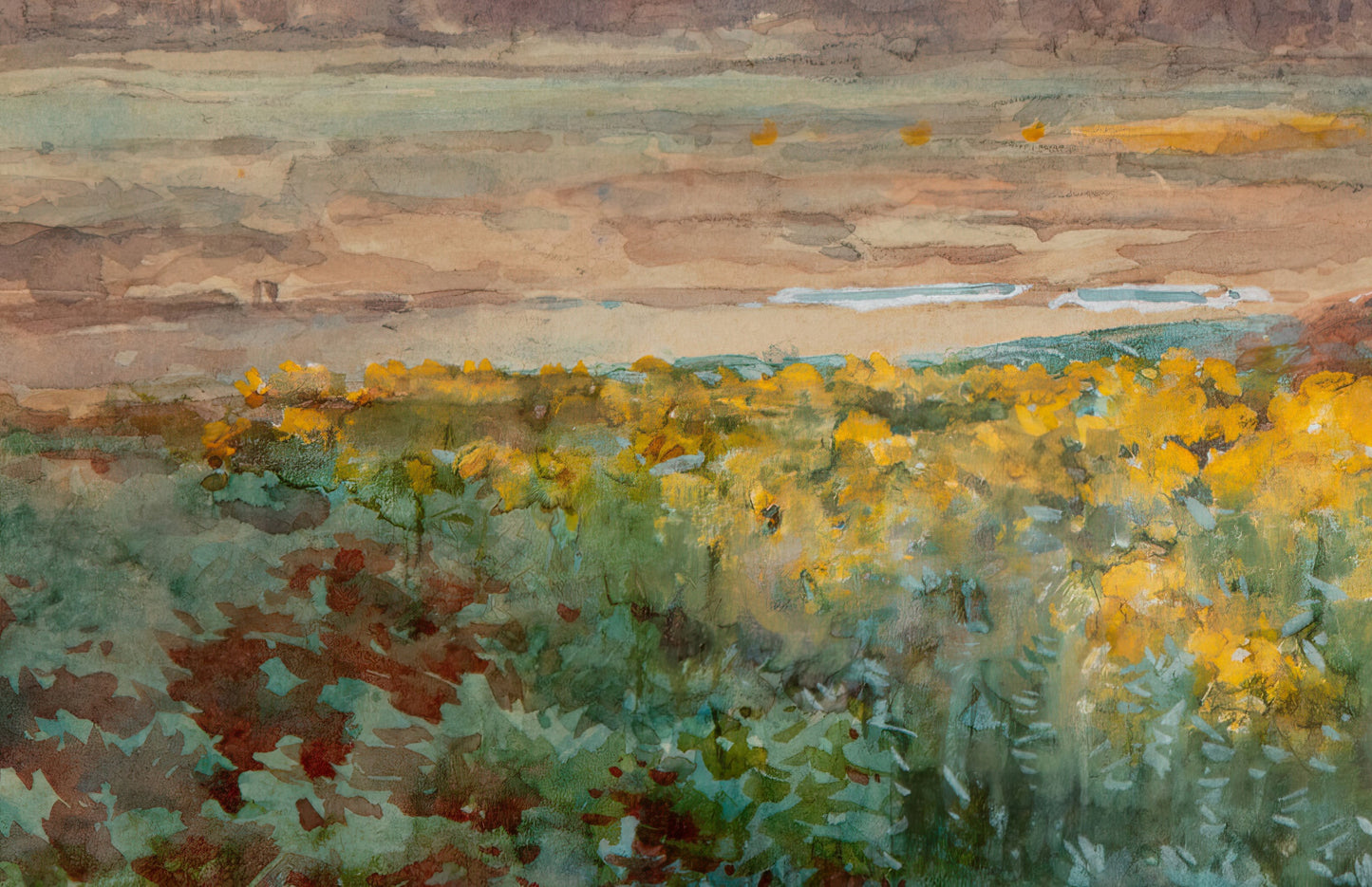 Yellow Flowers on a Grey Day