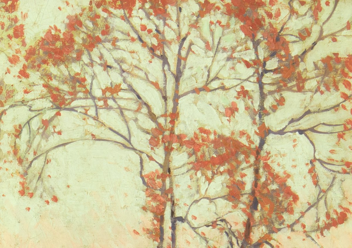 Young Sycamores in Autumn