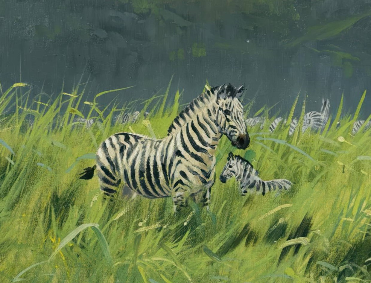 Zebra on the Steppe